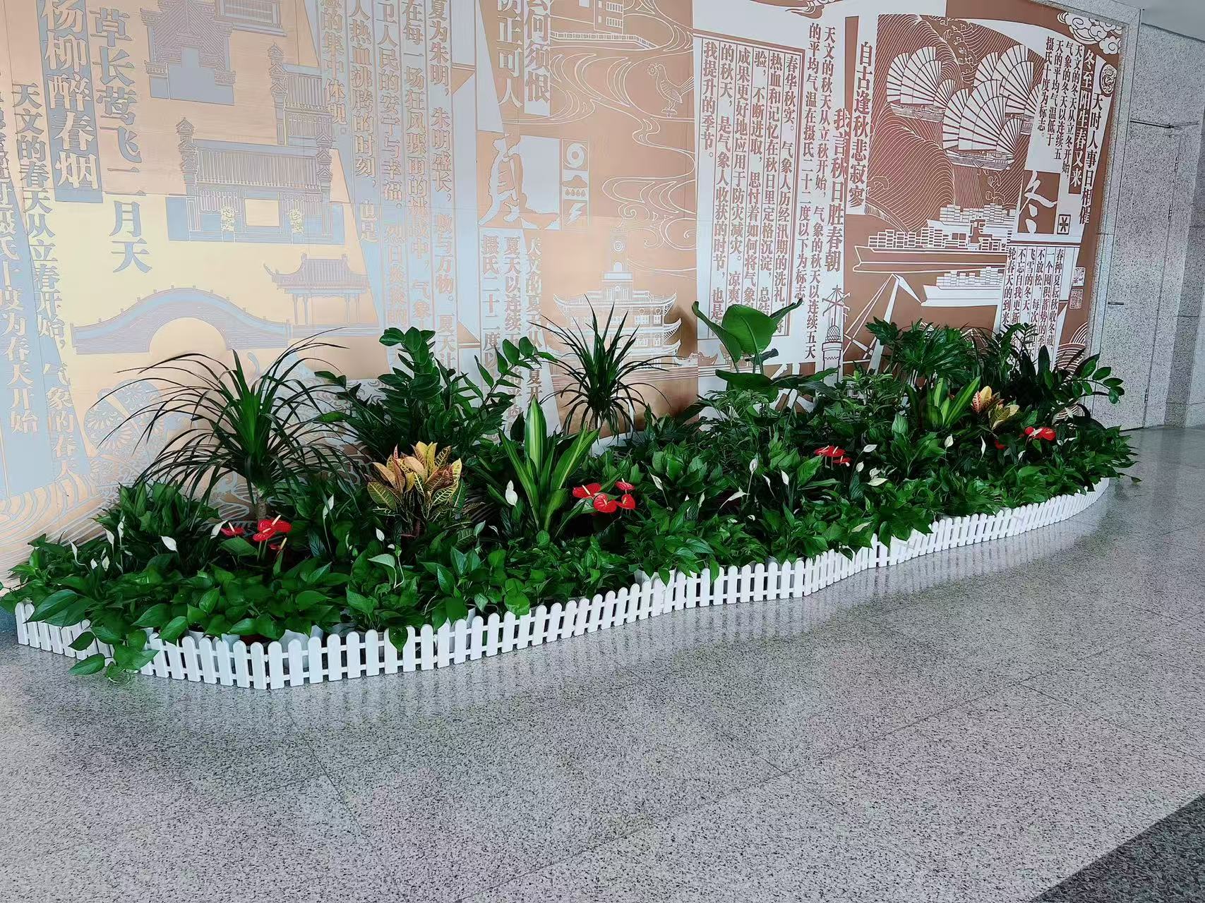 江北盆景出租哪家好